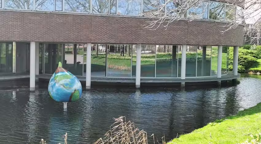 Reuzenbol Wereld(bloem)bol