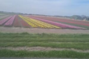 Rondleidingen in Egmond