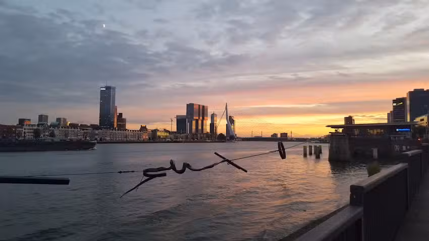 Rotterdam Discovery Tours