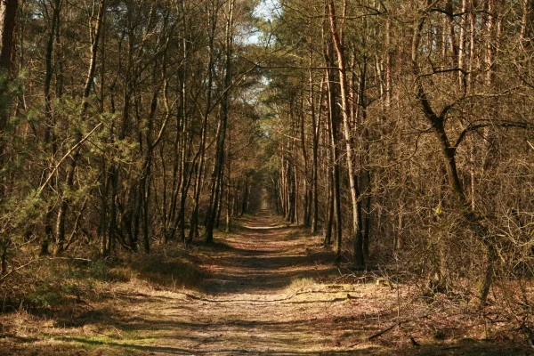 Weekendje weg…iets met Otterlo en vriendschap