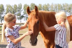 Ruitersport Zuidwest Friesland