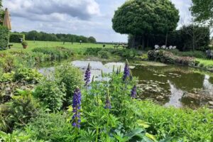 Rustpunt &rsquo;n Toorn