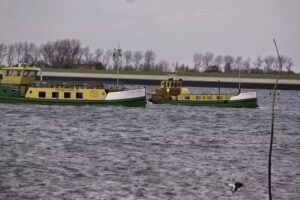 Salamander2 / vrolijke visser