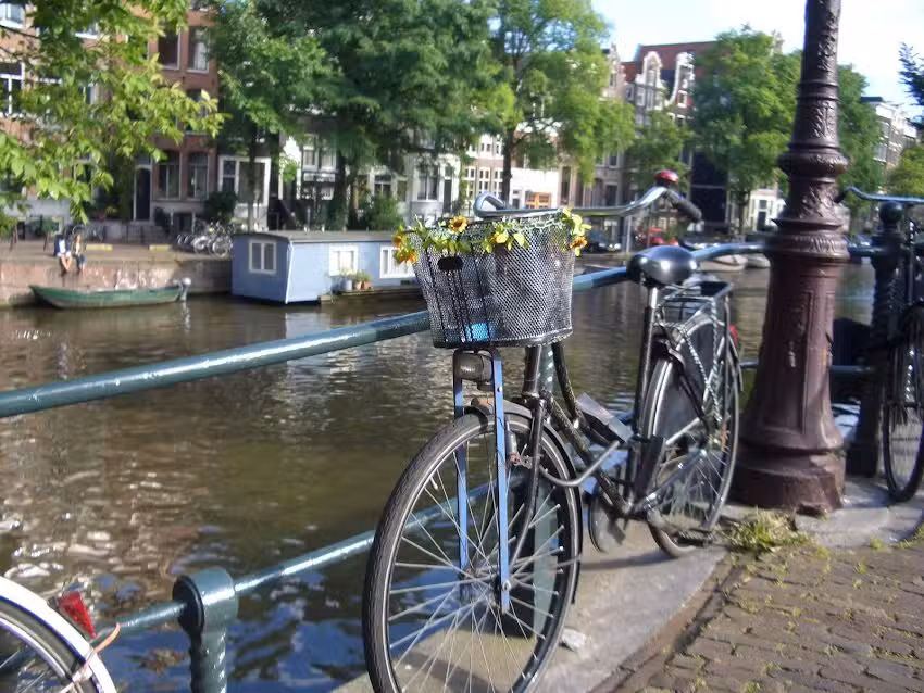 Sardini&euml; in Hart Amsterdam