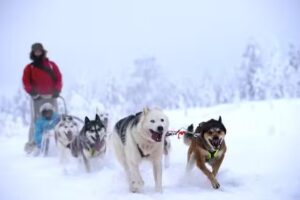 Scandinavian Wintersports | Scandinavian Seasons B.V.