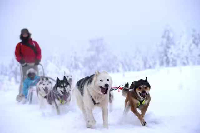 Scandinavian Wintersports | Scandinavian Seasons B.V.