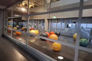 Schiphol Travel Group B.V.