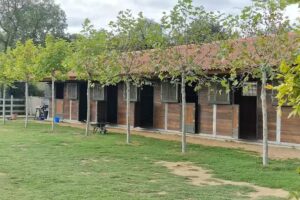 Sense Hippique Experience