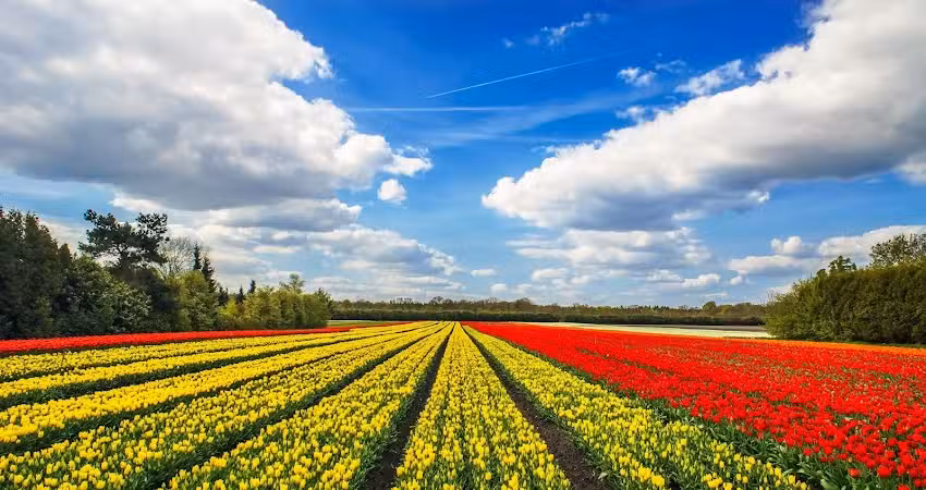 شركة العصواني للسياحة والنقل