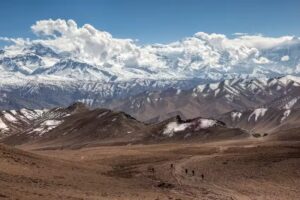 Snow Leopard Adventures
