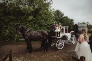 Stalhouderij De Viervoeter Trouwkoetsen Huifkartochten