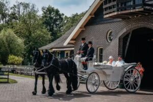 Stalhouderij &ldquo;De Zadelhoff&rdquo; B.V.