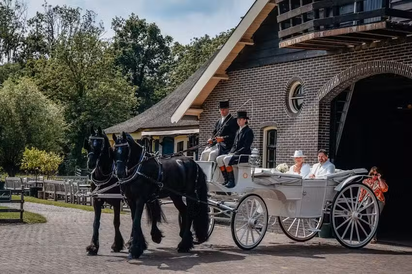 Stalhouderij &ldquo;De Zadelhoff&rdquo; B.V.