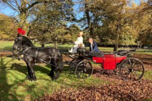 Stalhouderij Hazeleger, Voorthuizen Trouwkoetsen en Rouwkoetsen