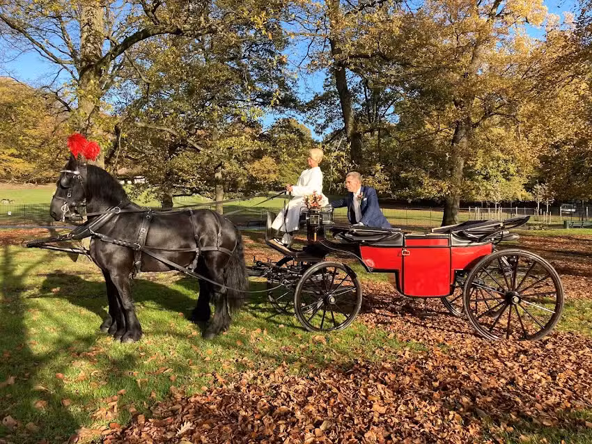 Stalhouderij Hazeleger, Voorthuizen Trouwkoetsen en Rouwkoetsen