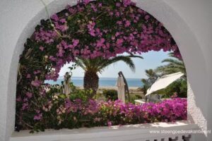 Steengoede Vakanties