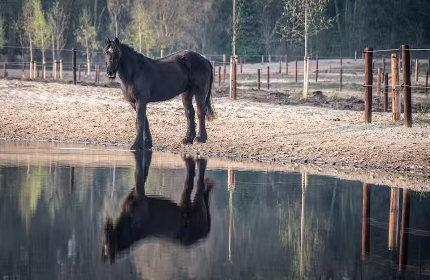 Stichting De Paardenkamp