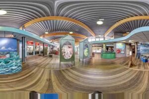 Stichting Zeehondencentrum Pieterburen