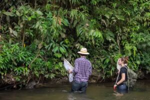 Taxon Expeditions