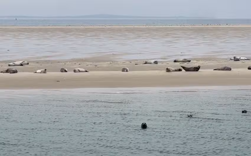 Tersailing &ndash; De Toekomst