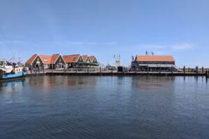 Texelse Zeehonden Tocht &ndash; Zeehonden Texel 🦭