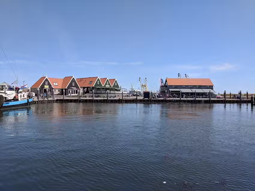 Texelse Zeehonden Tocht &ndash; Zeehonden Texel 🦭