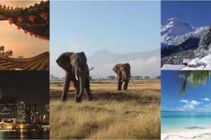 The Travel Club Anita Smits