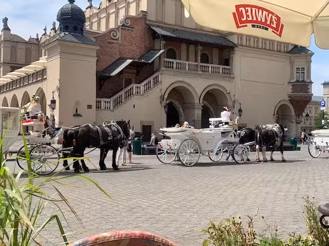 The Travel Club &ndash; Barbera van der Ven