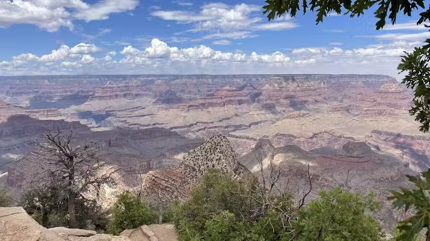 The Travel Club Erna Vermeer