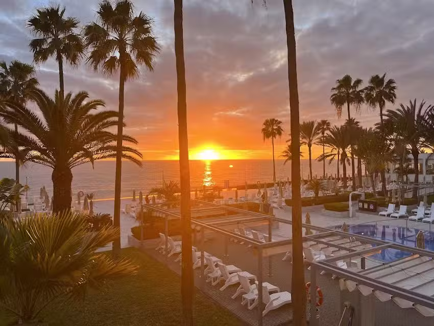 The Travel Club | Manita Driezen