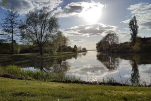 The Travel Club -Ri&euml;t de Vries-Reuvers