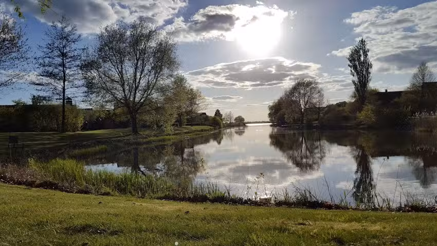 The Travel Club -Ri&euml;t de Vries-Reuvers