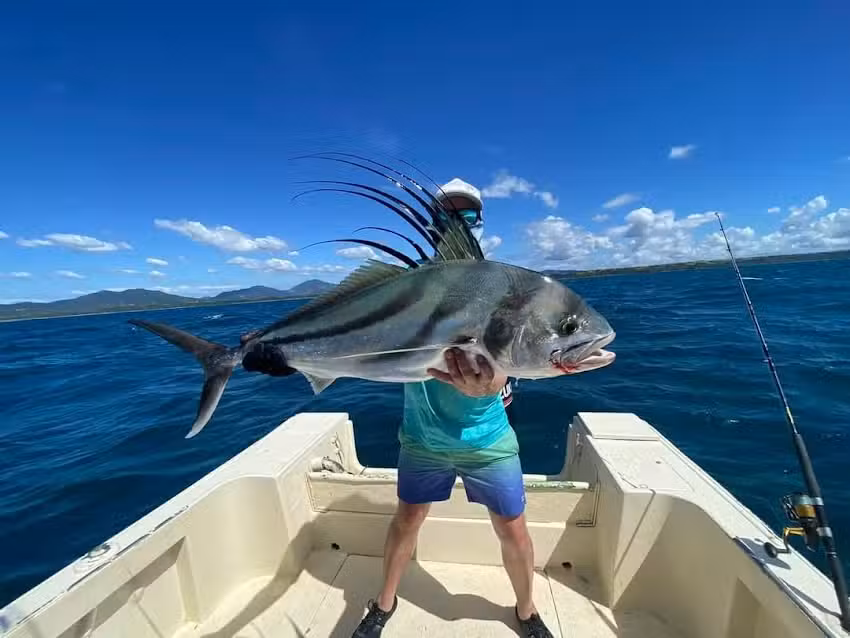 Tight Lines Visreizen