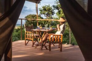 Travel Happiness Company