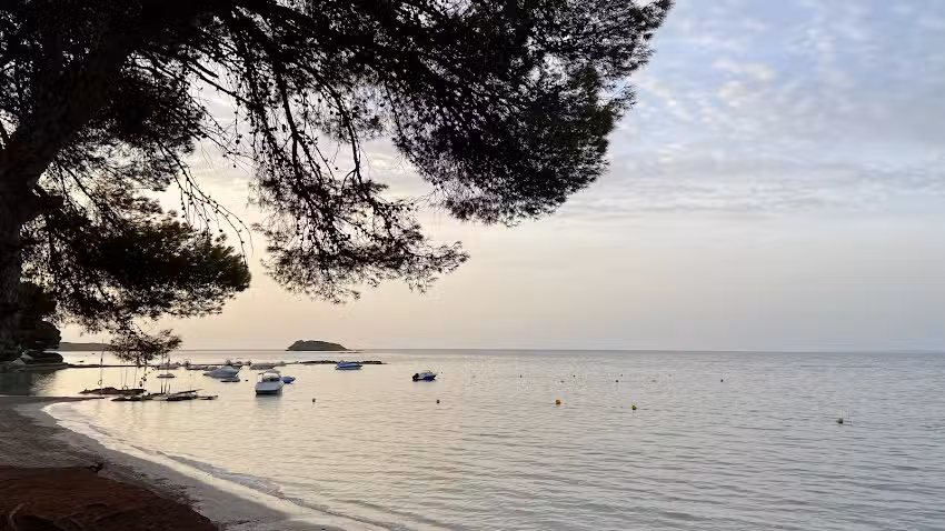 TUI at Home Chantal Munoz