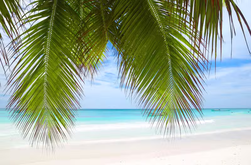 TUI at Home Martine Hassing