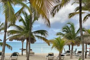 TUI at Home Nanette Heijne