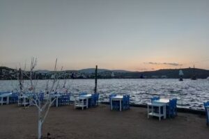 TUI at Home Wia Oosterhuis