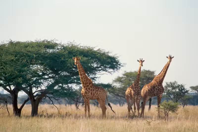 TUI at Home Wilma Verbeek
