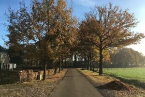 Vakantiehuis De Erfdijk