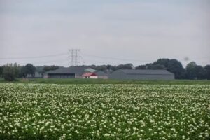 vakantiehuis de Pannepot