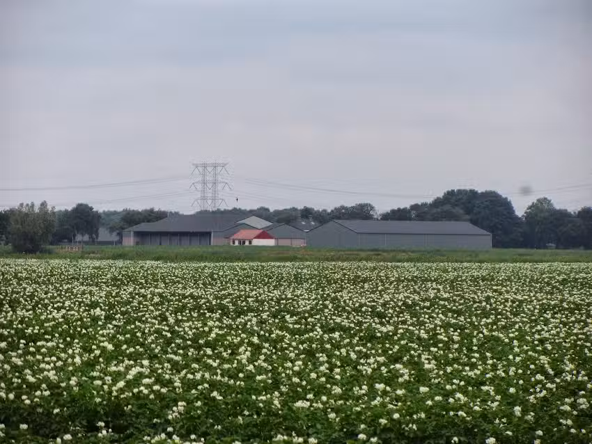 vakantiehuis de Pannepot