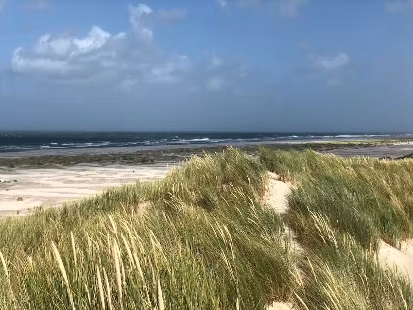 Vakantiehuis de Strandgaper