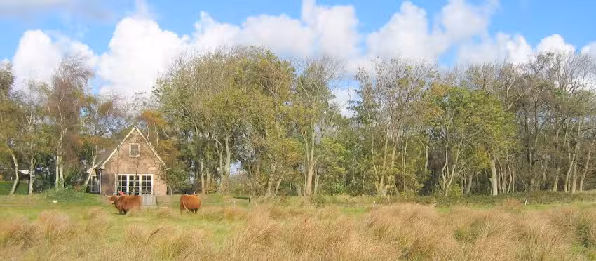 Vakantiehuis Prunella