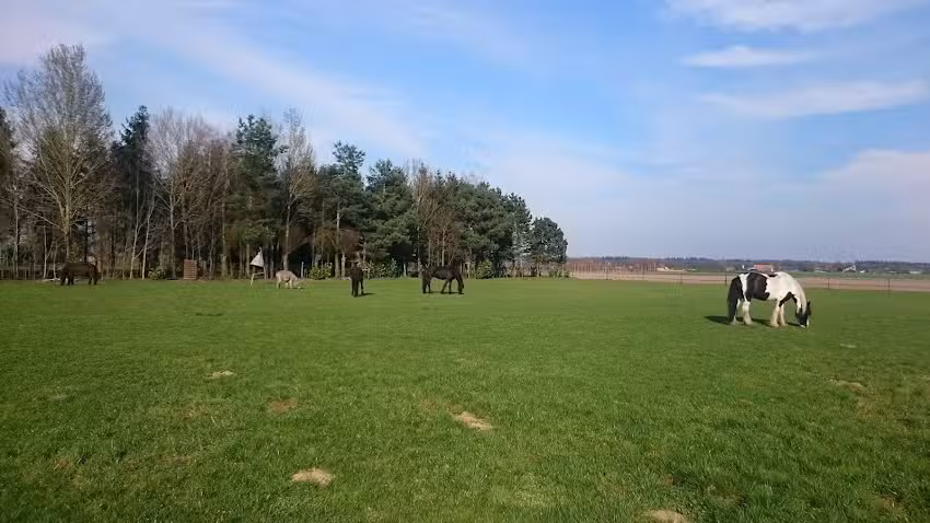 VAKANTIEHUISJE De Vrijheid