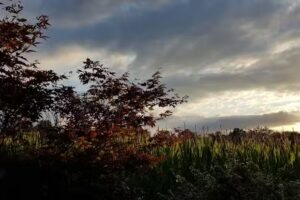 Vakantiehuisje Javahoeve