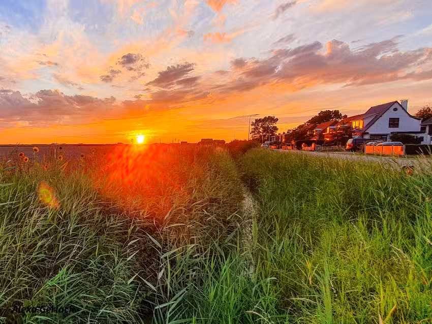 Vakantiehuisjes De Haan Texel