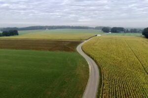 Vakantiewoning Scheetje Beef