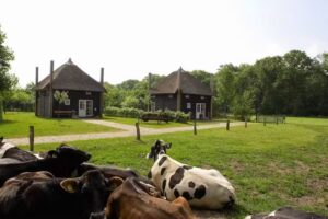 Vereniging Reggehooibergen