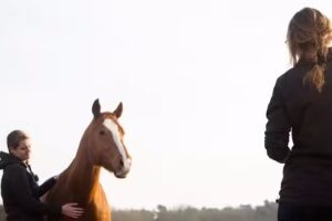 Vitamine P: Instructie, begeleiding & coaching